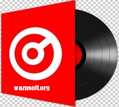 Virtual DJ Pro Crack - wazusoft.org